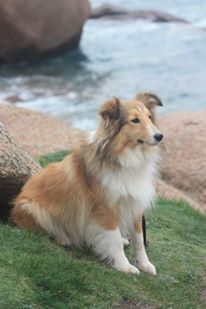 June Des petites fées des sables