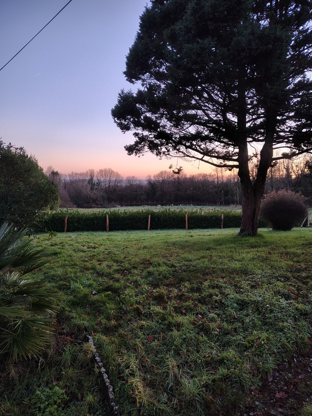 L'élevage déménage