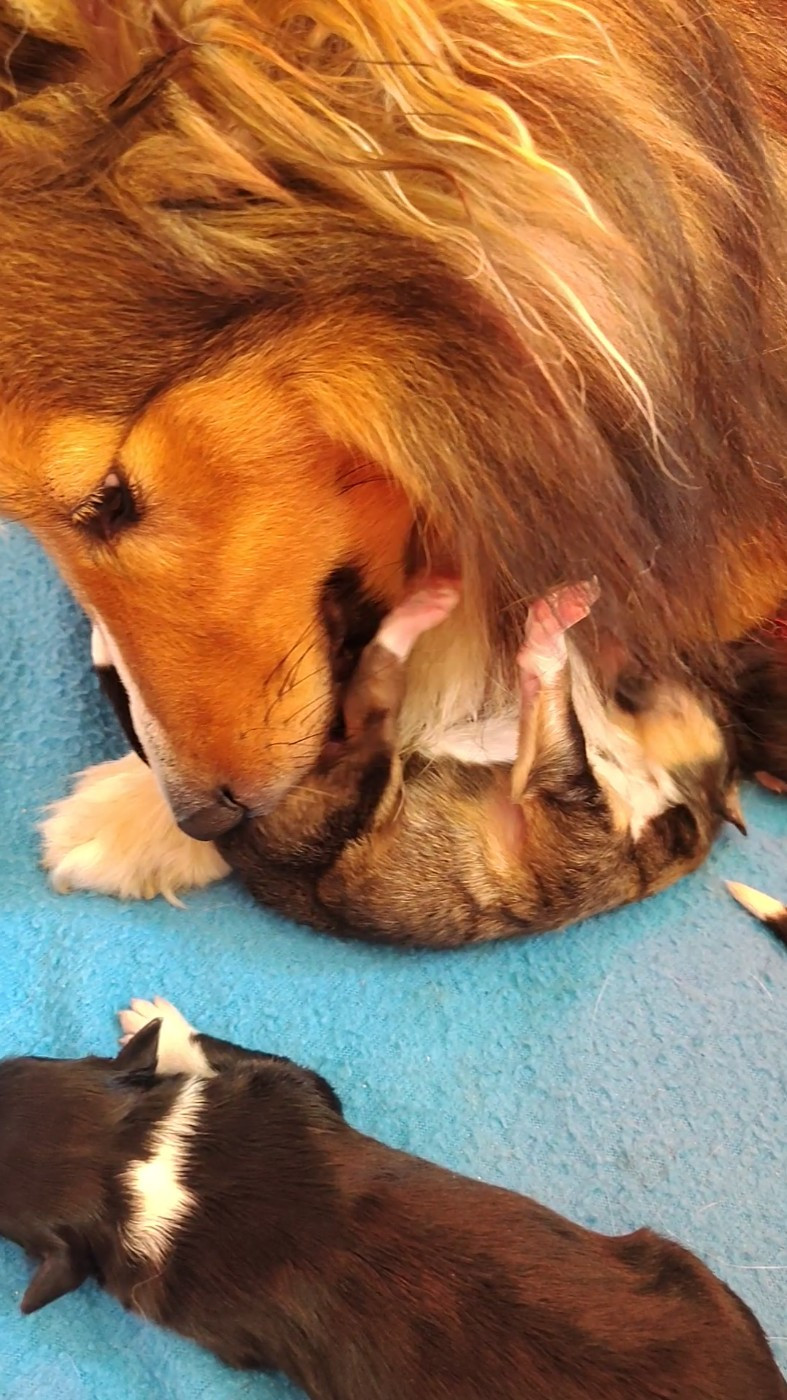 Les bébés sont arrivés !!!