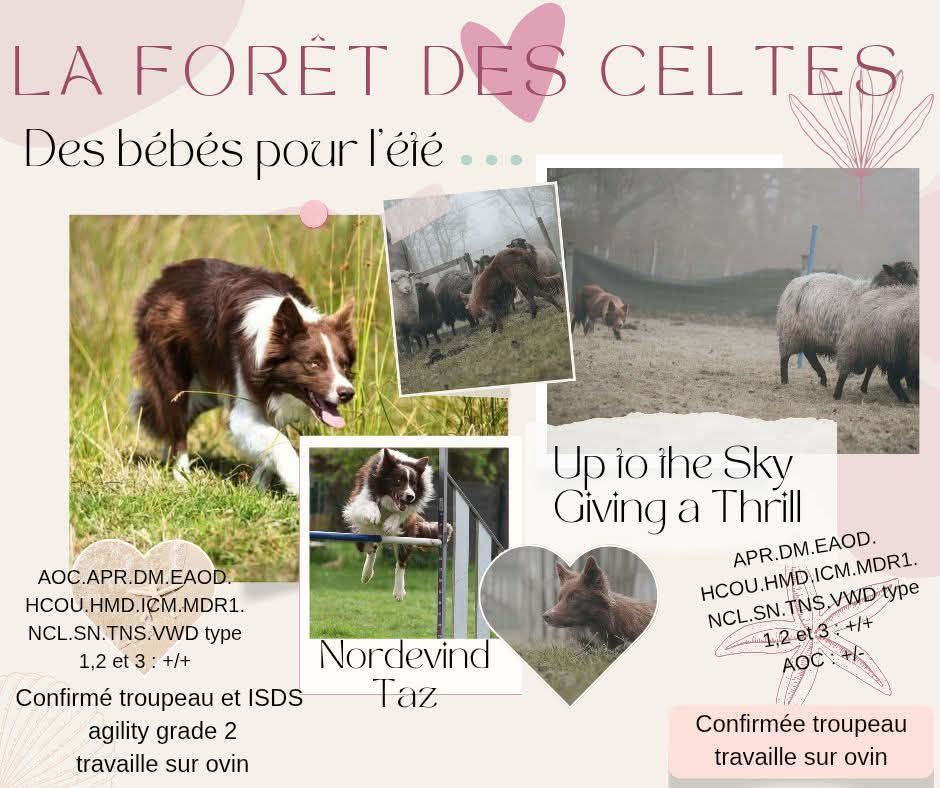 Des bébés rouges pour l'été ?